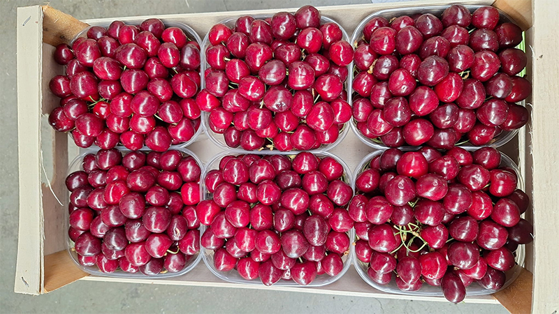 Ciliegie locali, cal. 28+ - 5/6 euro al chilo